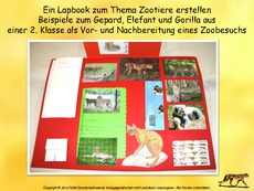1-Beispiele-Lapbook-Tiere-3.pdf